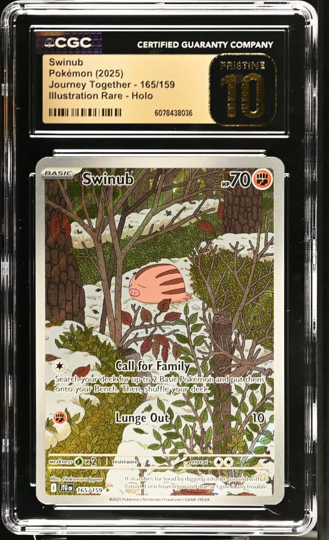 Swinub