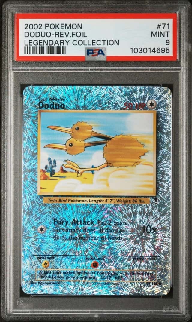 Doduo