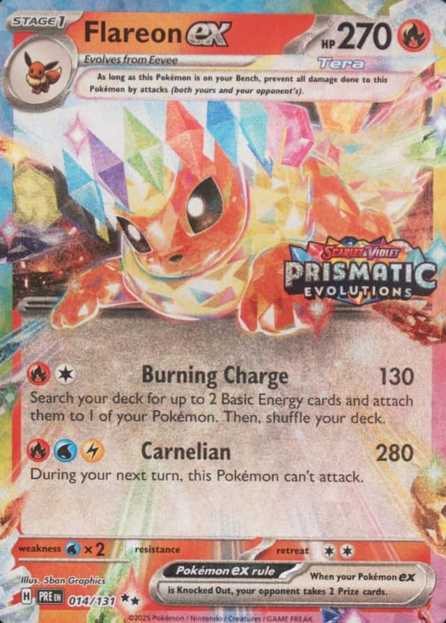 Holo · Box Exclusive Surprise