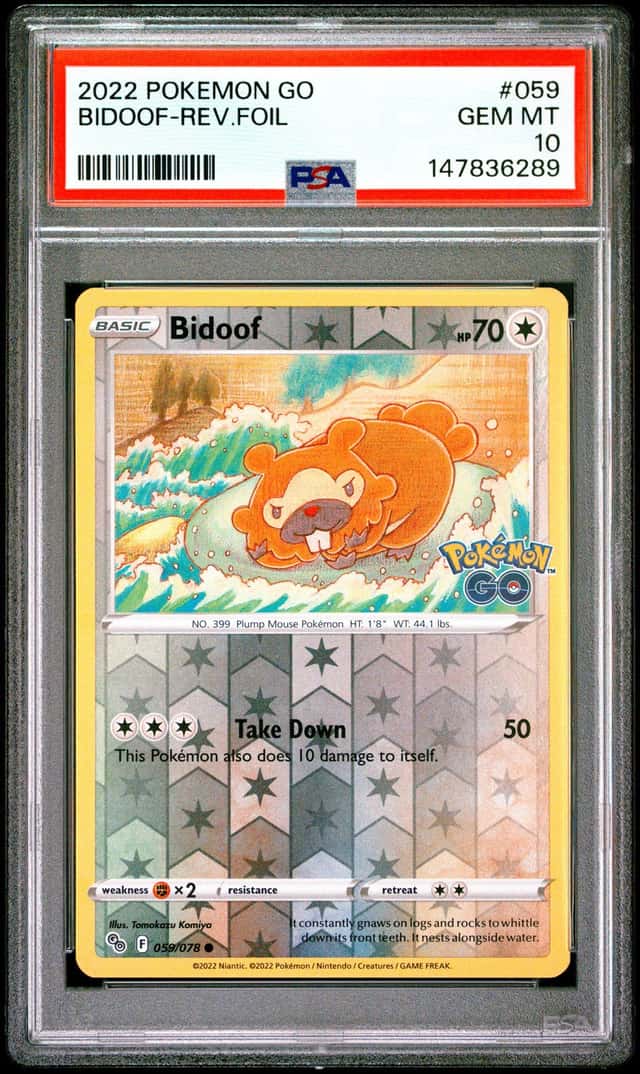Bidoof