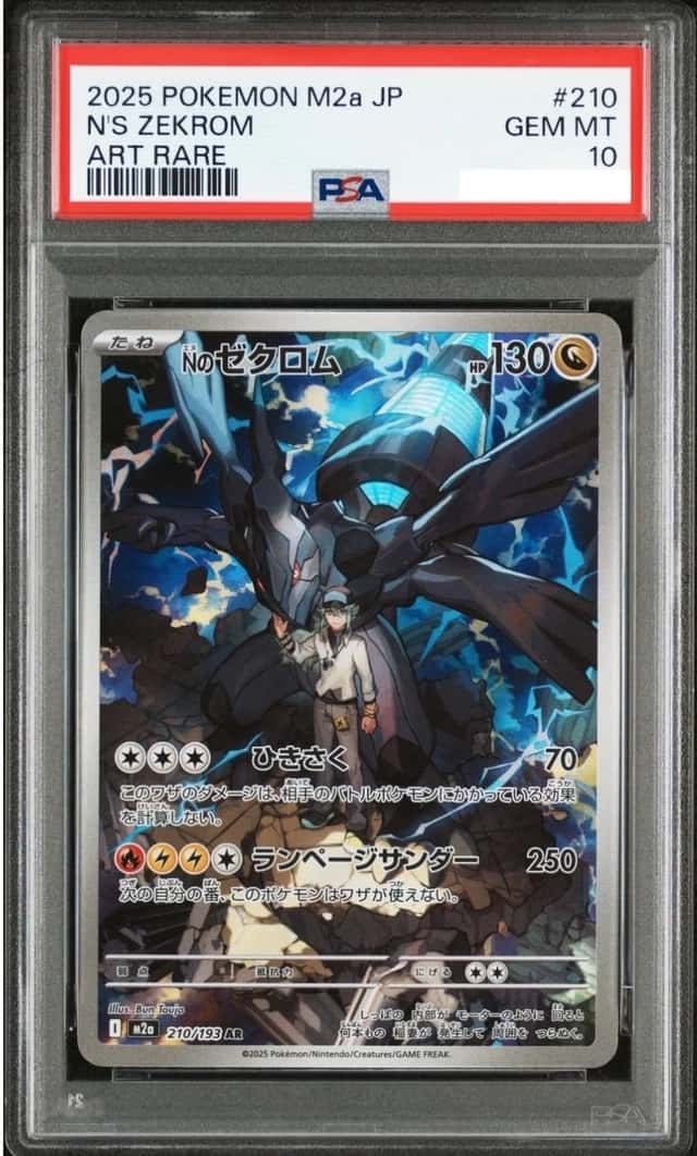 N's Zekrom