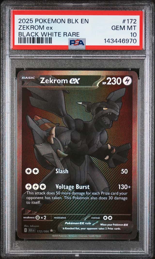ZEKROM ex