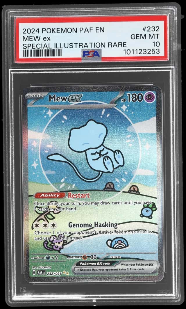 MEW ex