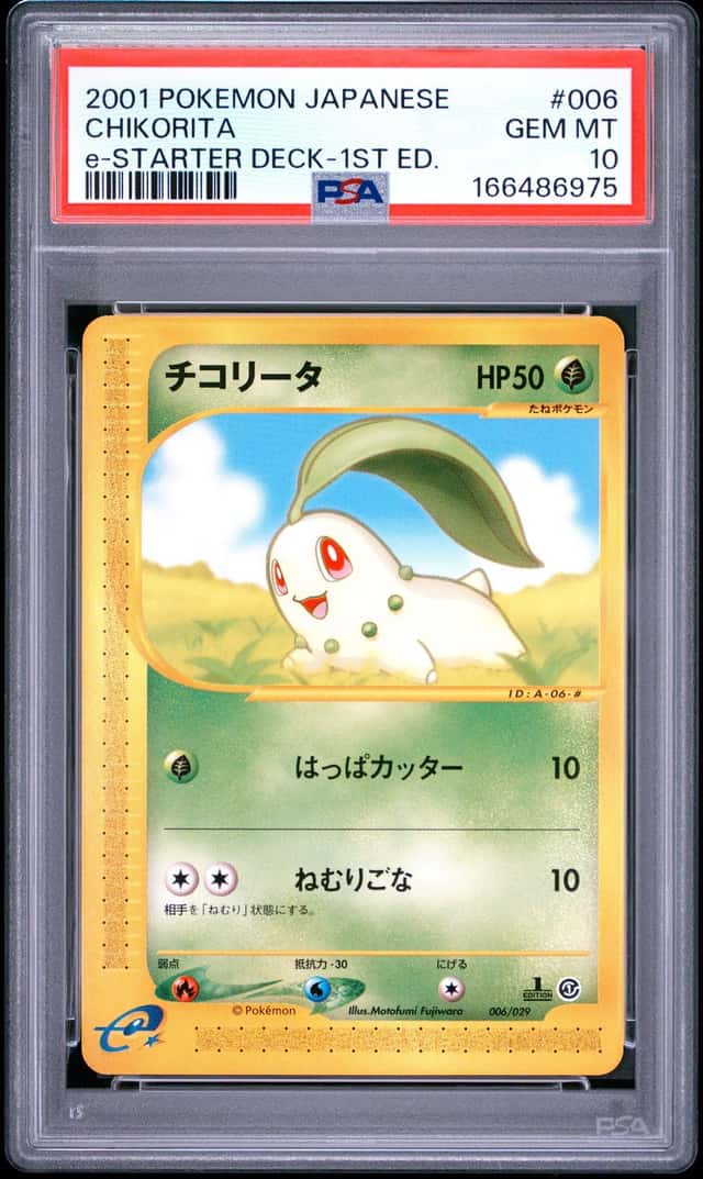 Chikorita