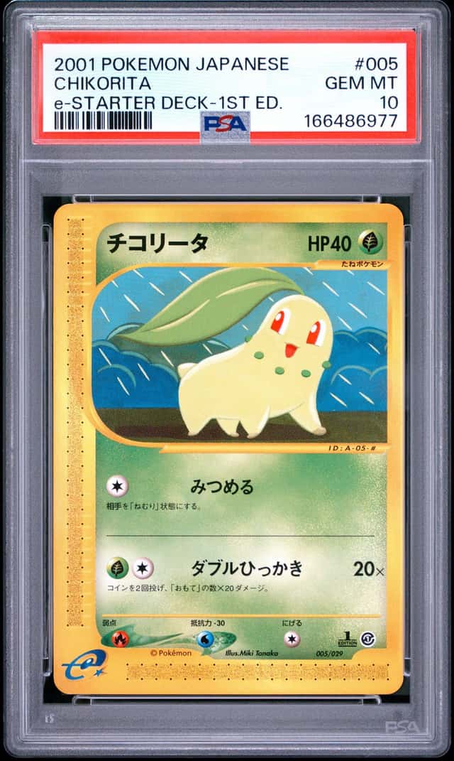 Chikorita