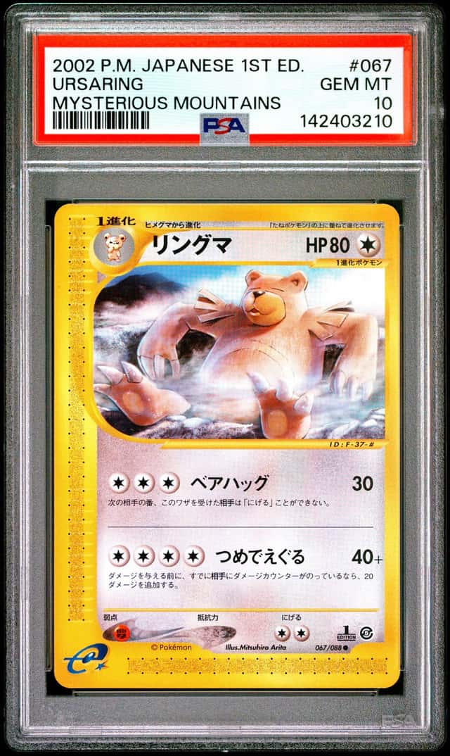 Ursaring