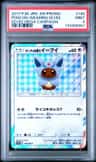Poncho-Wearing Eevee