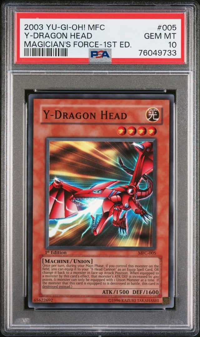 Y-Dragon Head