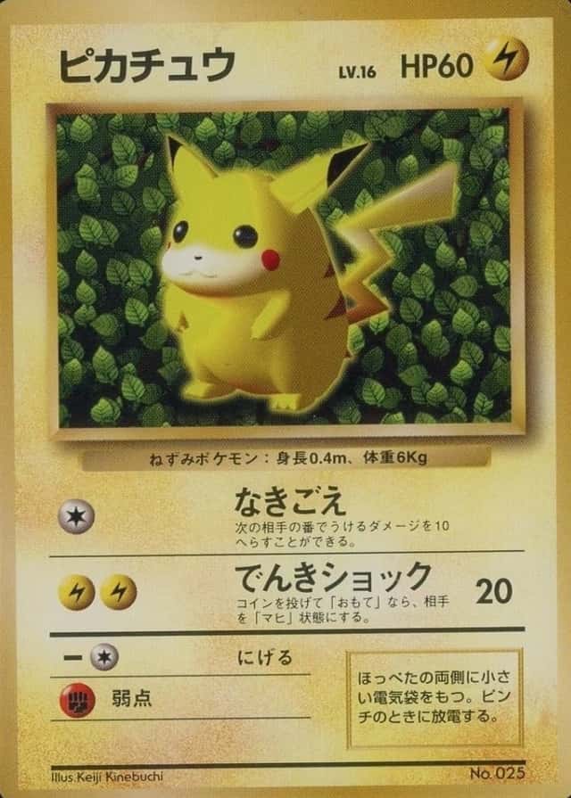 Non-Holo · Non-Glossy · Easily How Play To Understand