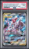 Mewtwo & Mew Gx