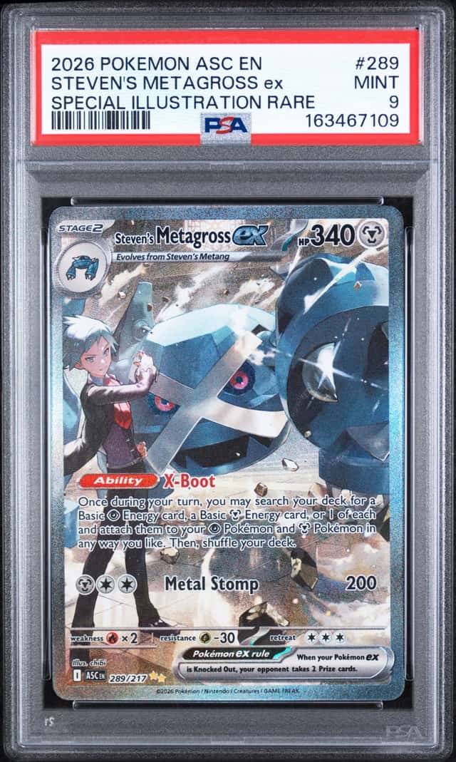 STEVEN'S METAGROSS ex