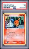 Torchic