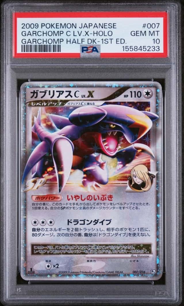 GARCHOMP C LV.X