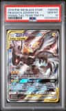 Pikachu & Zekrom Gx