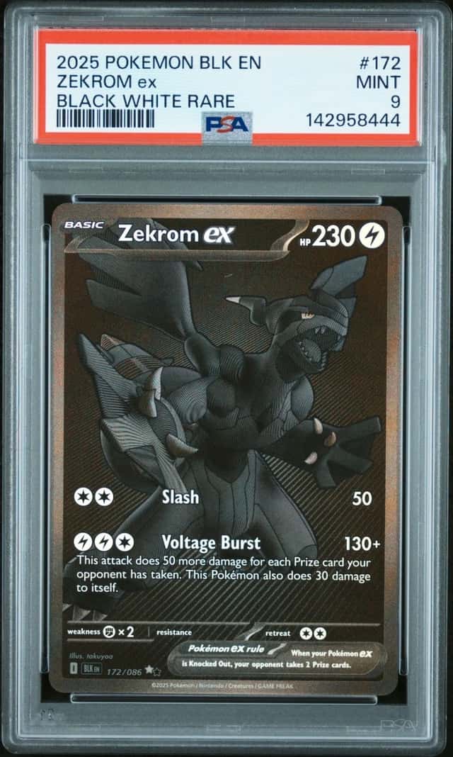 ZEKROM ex