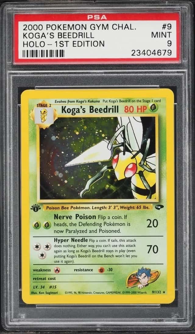 Koga's Beedrill