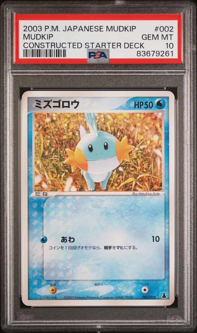 Mudkip