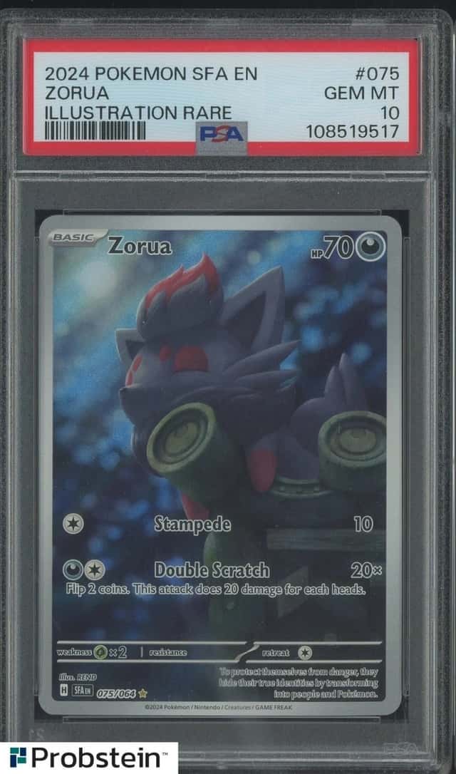Zorua
