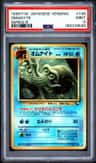 Omanyte
