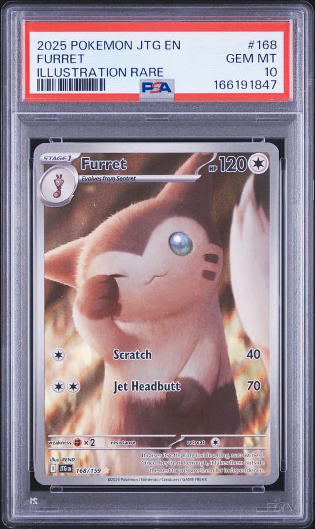 Furret