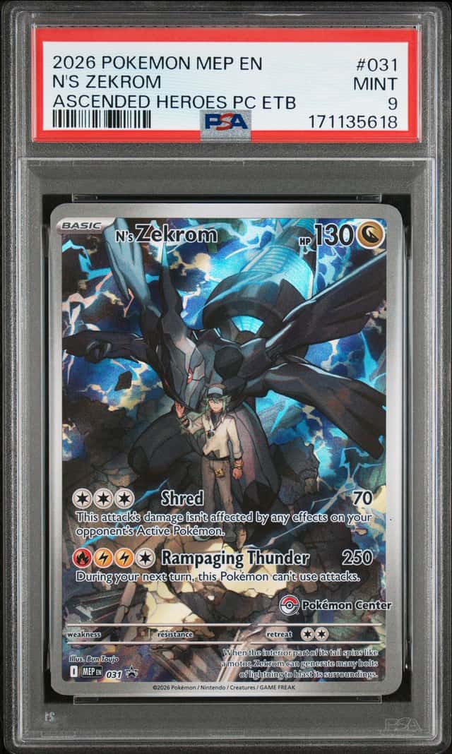 N's Zekrom