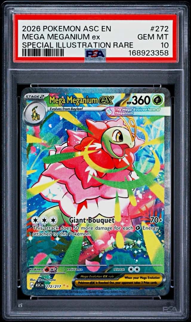 MEGA MEGANIUM ex