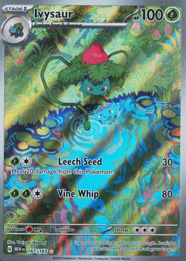 Base / no variant