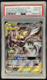 Pikachu & Zekrom Gx
