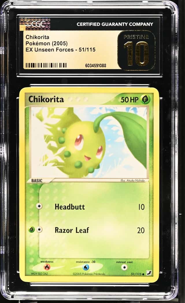Chikorita