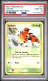 Ledyba