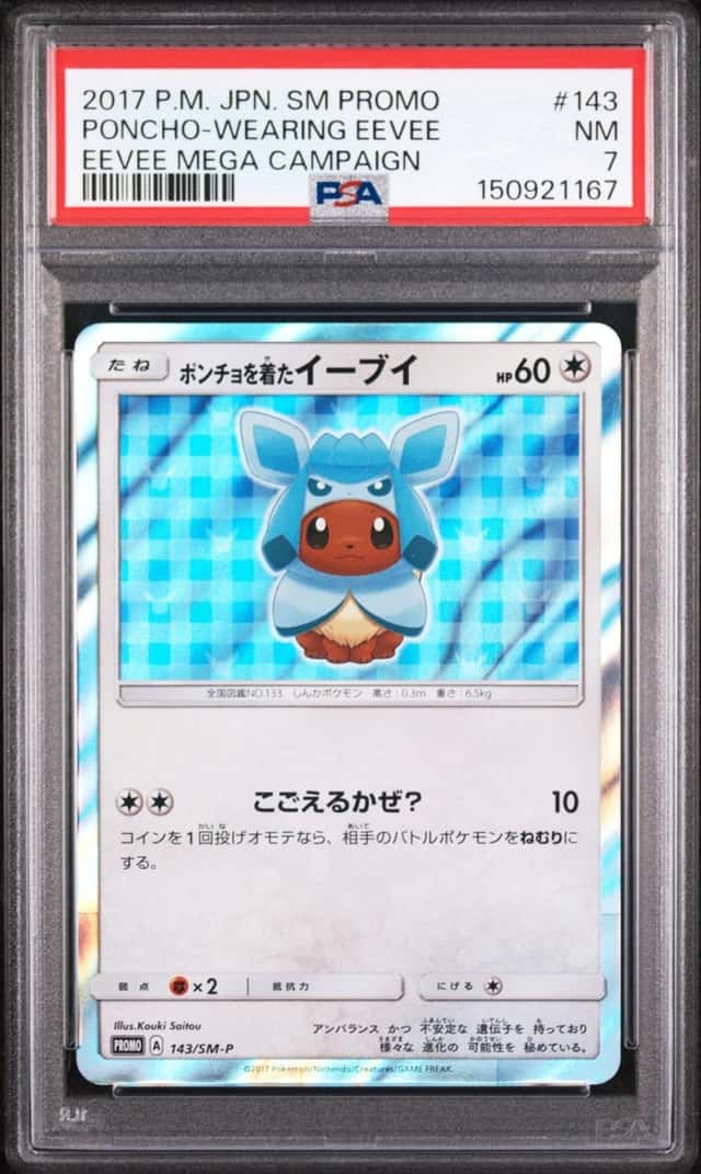 Poncho-Wearing Eevee