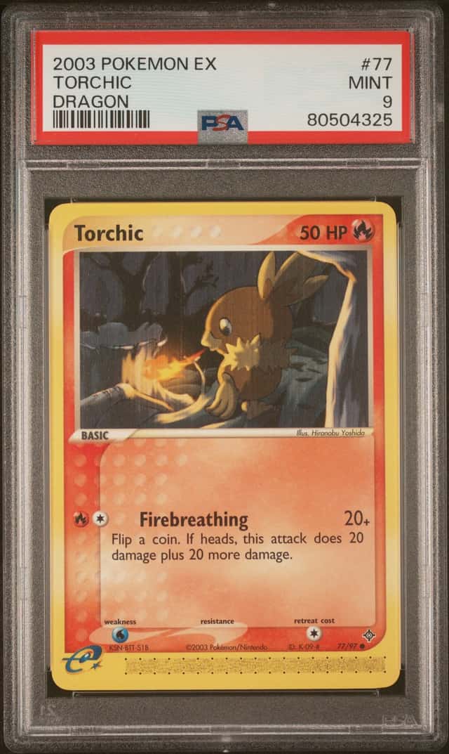 Torchic