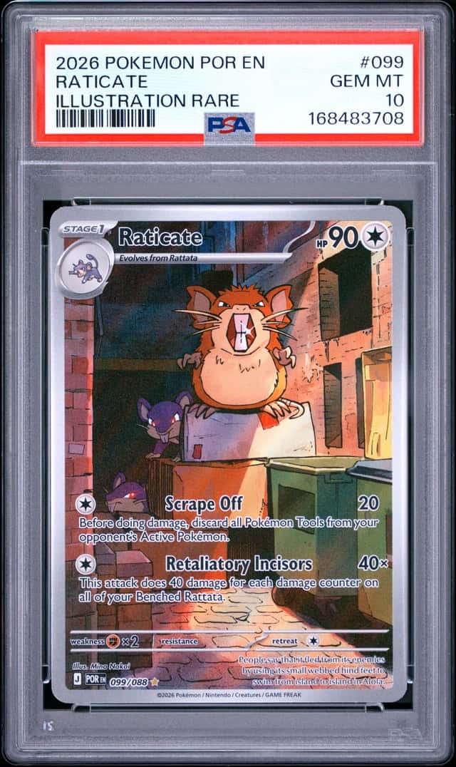 Raticate