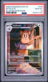 Raticate