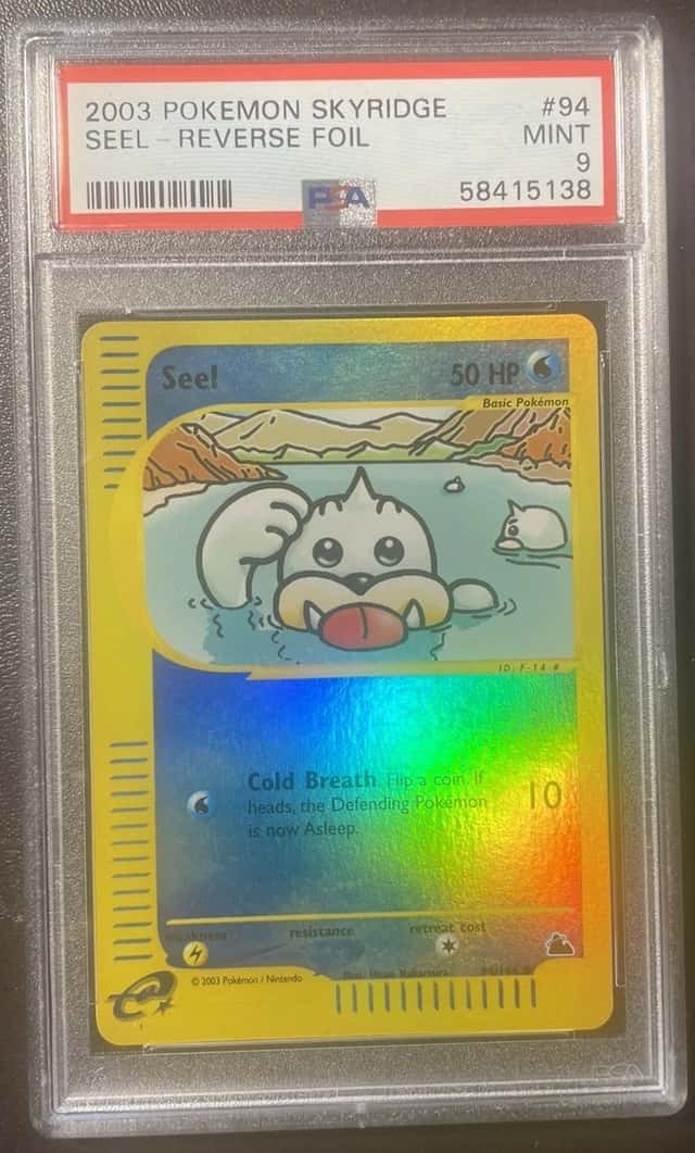 Seel