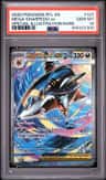 Mega Sharpedo Ex