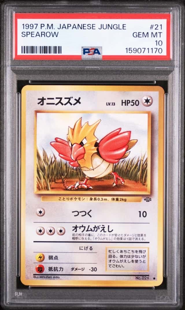 Spearow