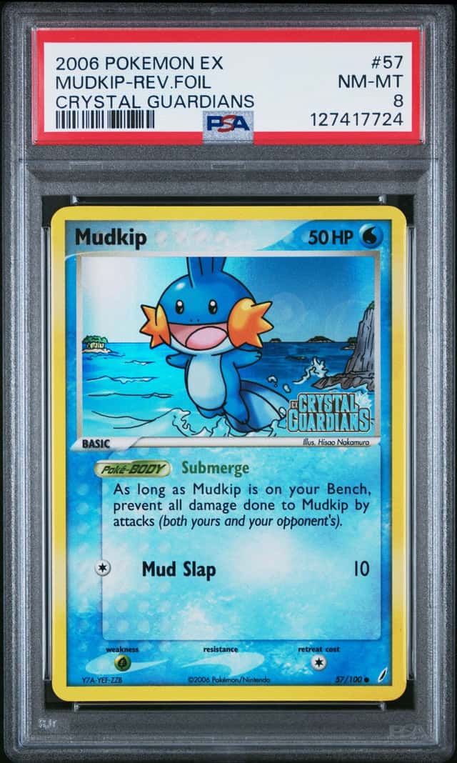 Mudkip