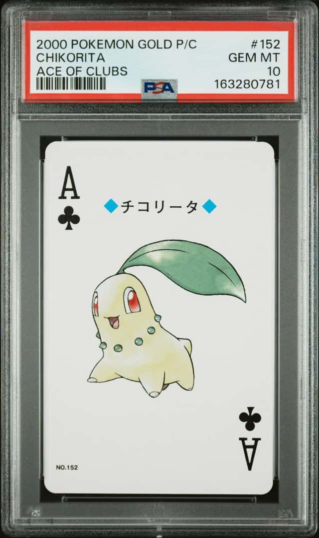 Chikorita