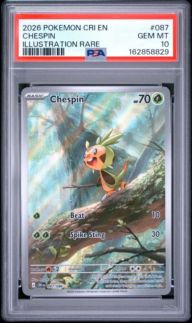 Chespin