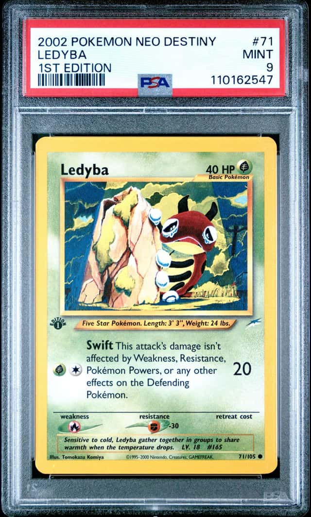 Ledyba