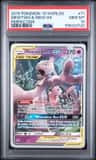 Mewtwo & Mew Gx