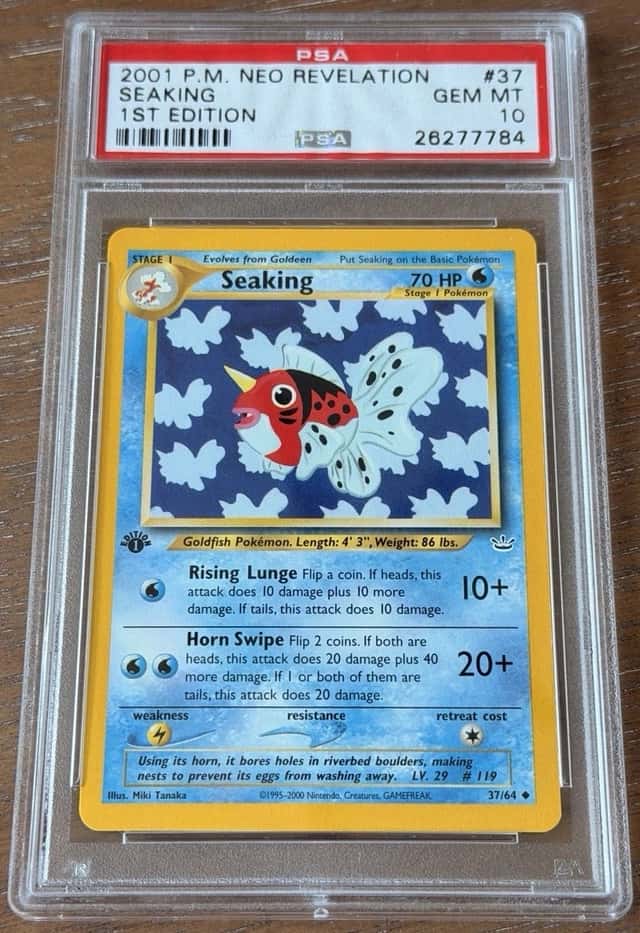 Seaking