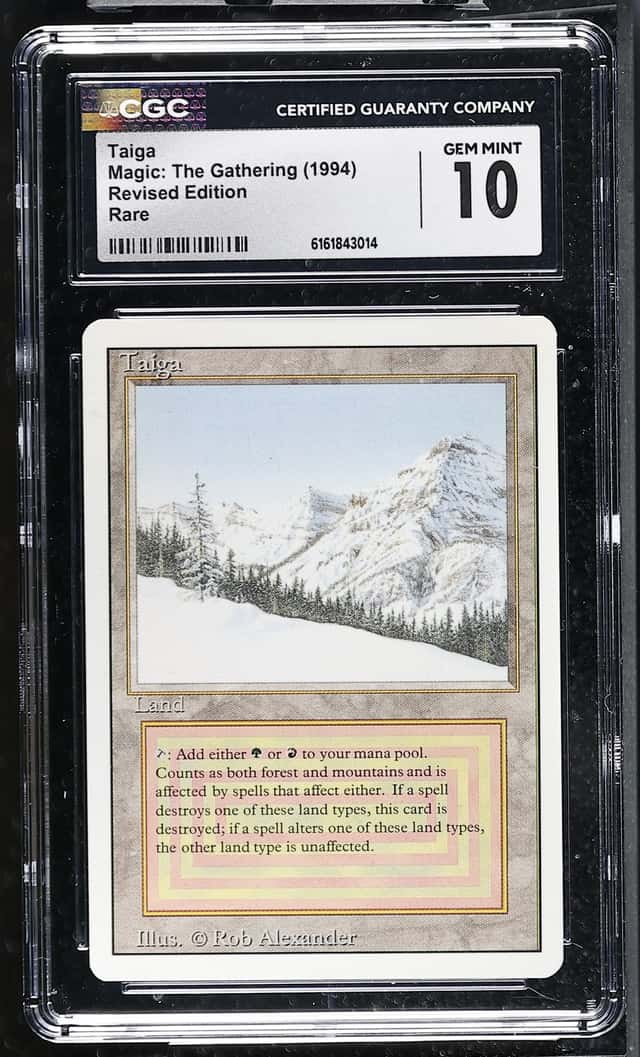 Taiga