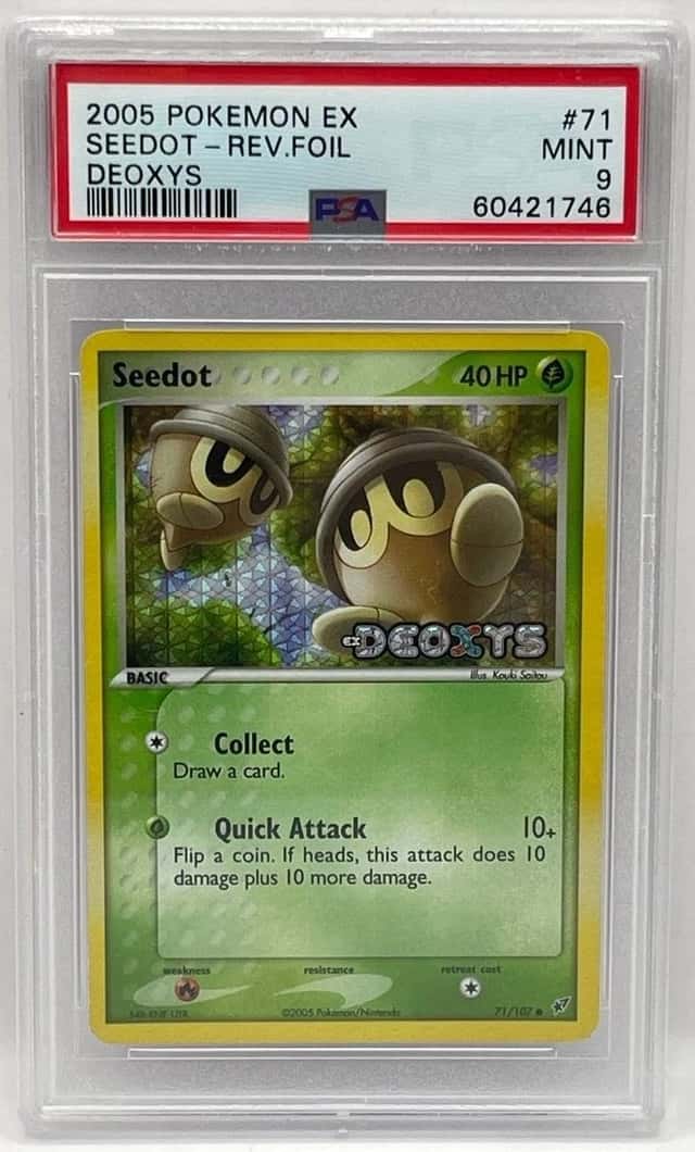 Seedot