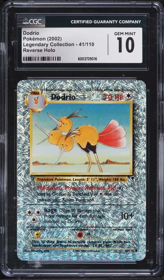 Dodrio