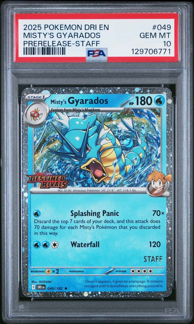 Misty's Gyarados