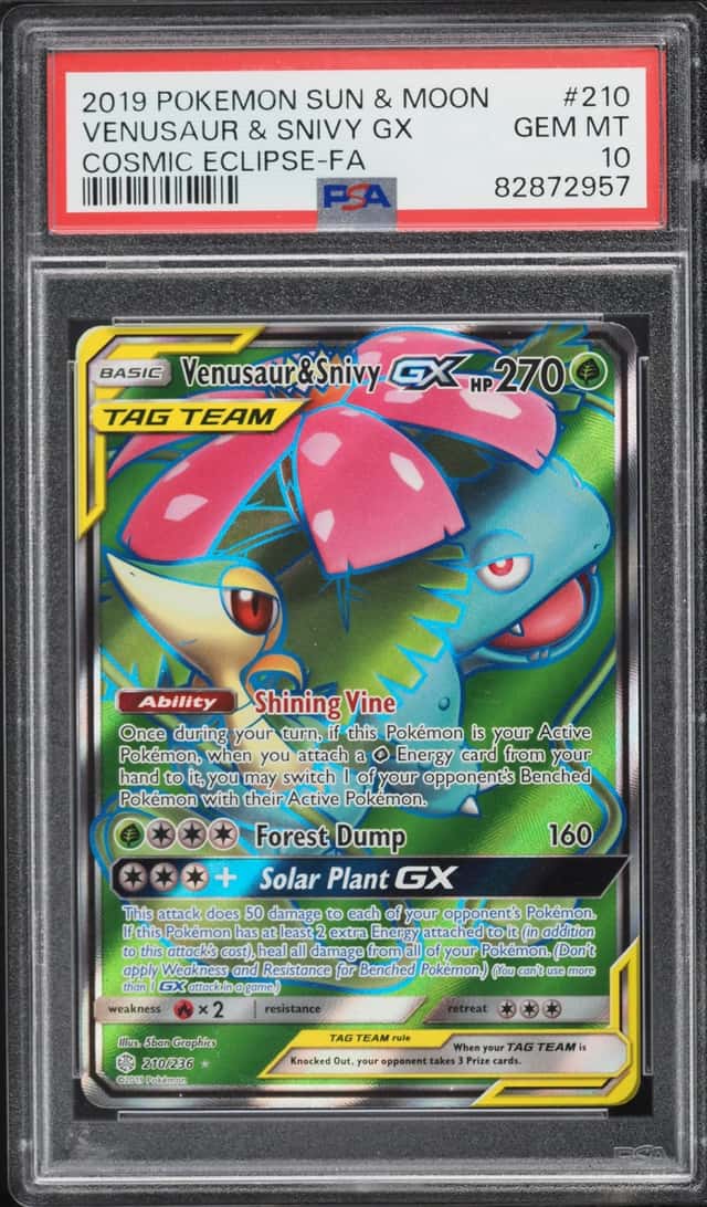 Venusaur & Snivy GX