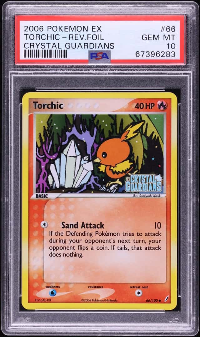 Torchic
