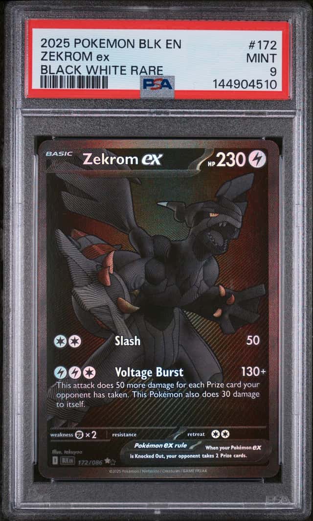 ZEKROM ex